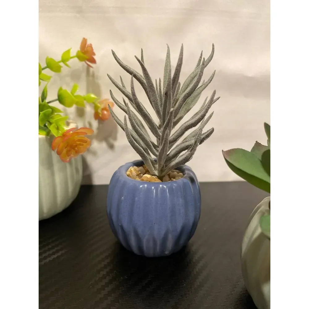 5 Cute‎ Little Artificial plants